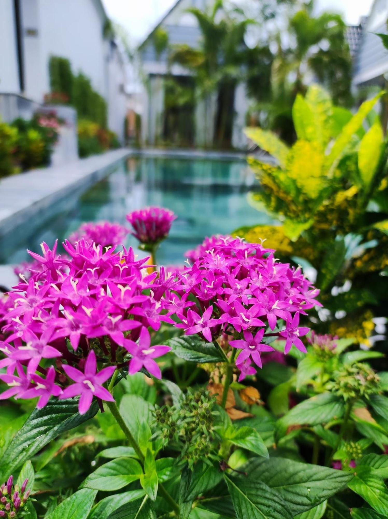 Ngoc Trai Xanh Bungalow Phú Quốc Exterior foto